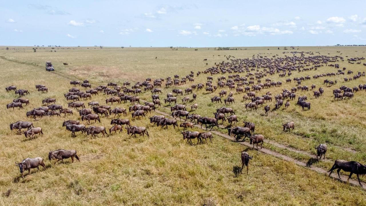 Africa Safari Serengeti Ikoma ภายนอก รูปภาพ
