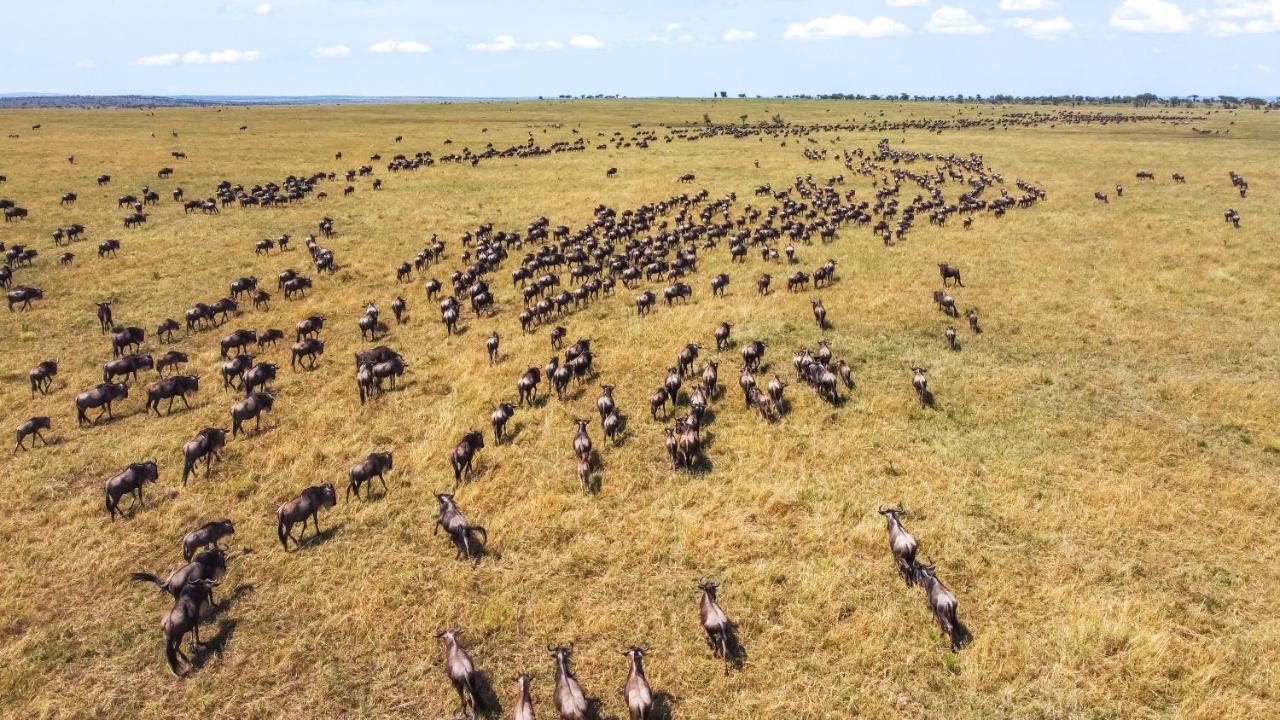 Africa Safari Serengeti Ikoma ภายนอก รูปภาพ